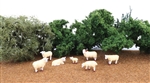 Bachmann 33122 HO Sheep