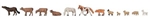 Faller 155911 N Cows Horses Sheep Set