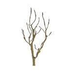 JTT 94104 Mountain Gum 1.5" Armature 6 pk