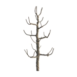 JTT 94116 Sycamore 1.5" Pro Armature 6 pk