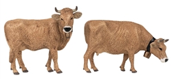 Pola 331554 G Brown Cattle