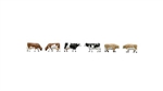 Tomy 328124 N Farm Cows pkg (6)