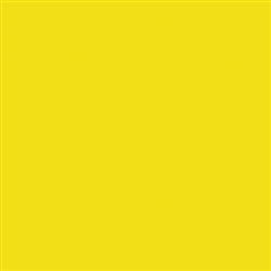 Tru-Color 353 Acrylic Paints 1oz Chicago & North Western Early Yellow